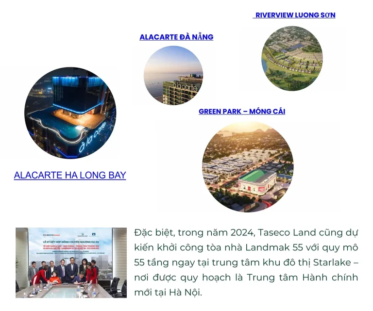 CĐT Taseco Land