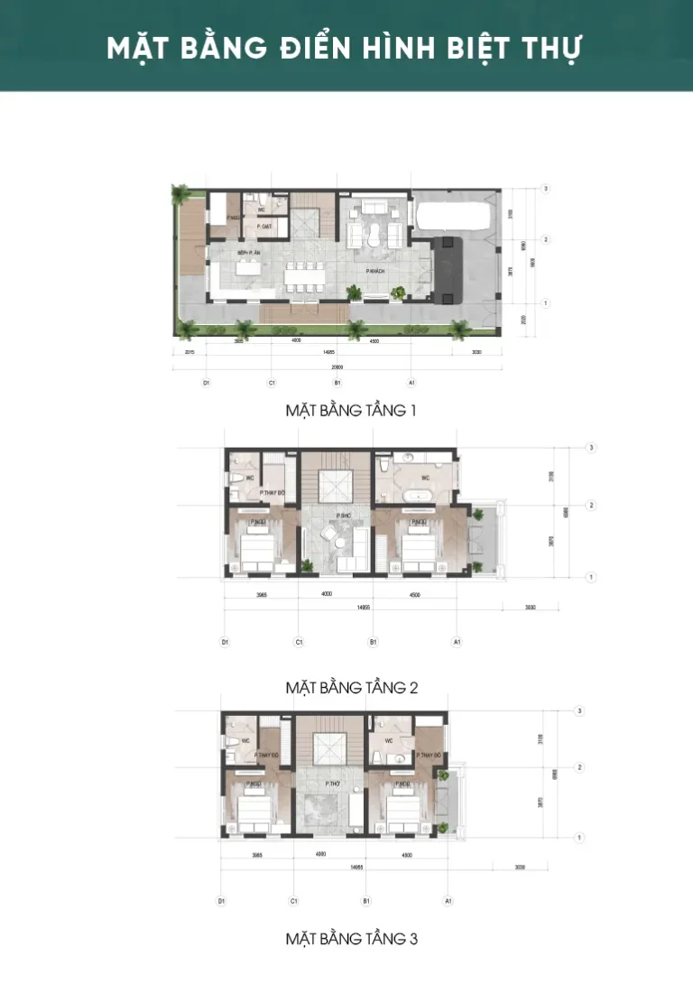 Central Riverside Thanh Hóa - mặt bằng biệt thự